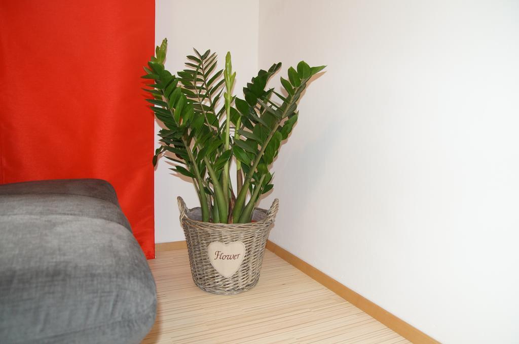 W & S Executive Apartments - Hallstatt I חדר תמונה